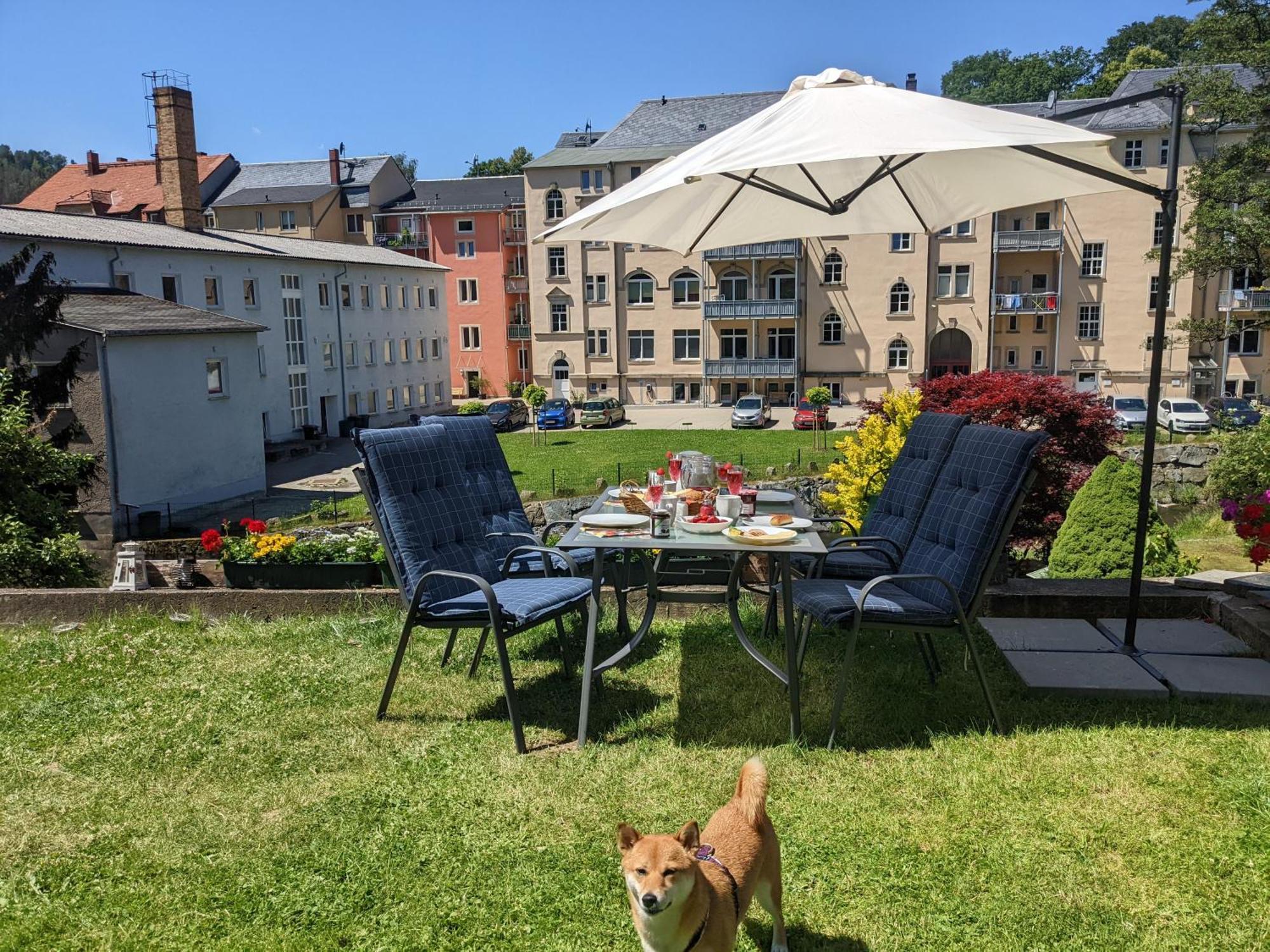 Zi1 - Urlaubsmagie - Erholung Mit Whirlpool & Sauna Sebnitz Exterior foto