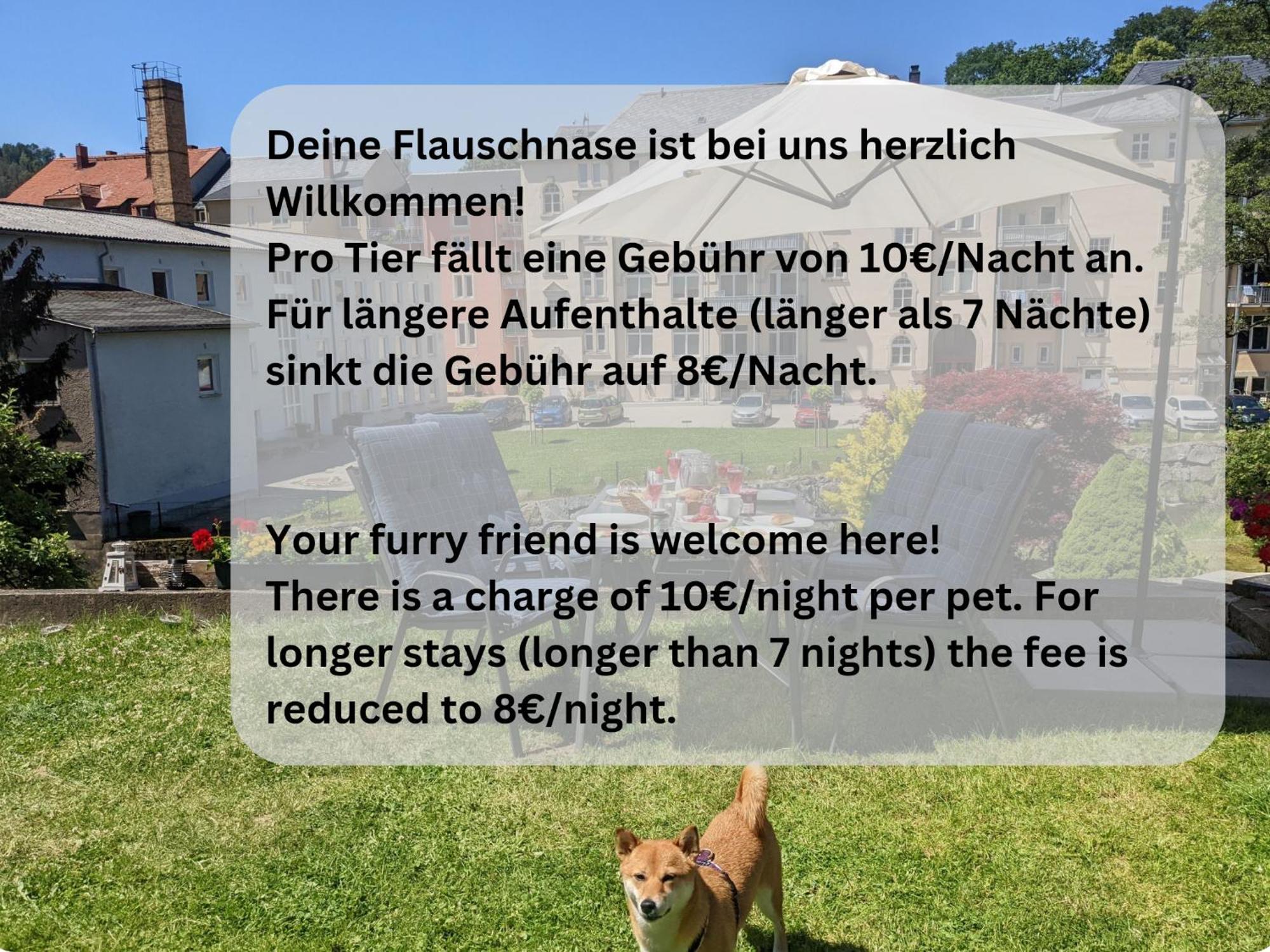 Zi1 - Urlaubsmagie - Erholung Mit Whirlpool & Sauna Sebnitz Exterior foto
